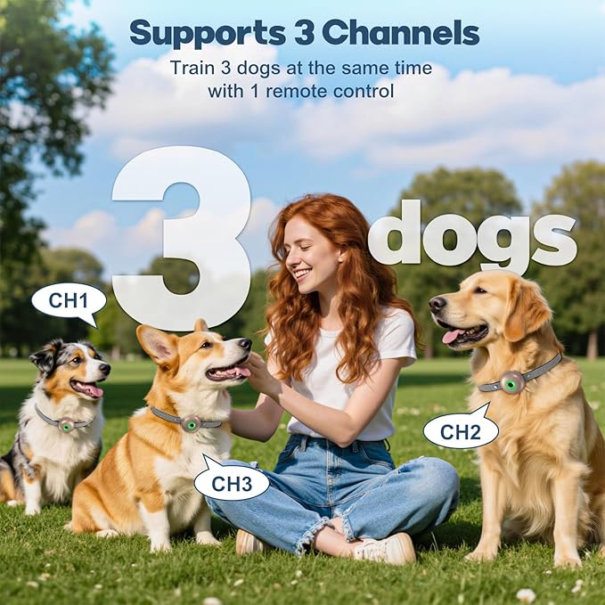 Dog Shock Collar, Dog Training Collar with Remote 2600FT, IPX7 Waterproof Rechargeable E-Collar, 3 Training Modes for All Breeds 10-120lbs (Gold)