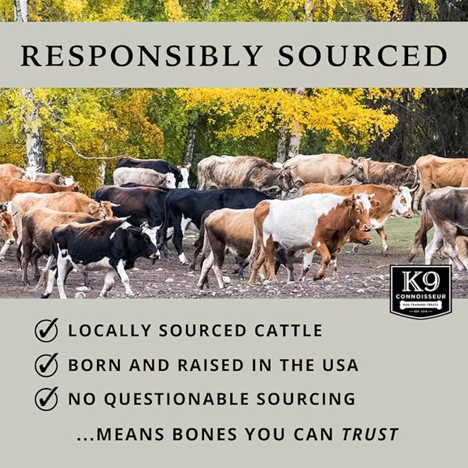 K9 Connoisseur Beef Marrow Large Dog Bones Long Lasting for Aggressive Chewers - USA Made Single Ingredient Champ Bones for Large Dogs Over 50 Pounds - 3 Pack