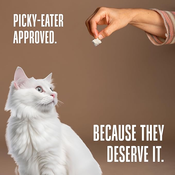 Whole Life Cat Just One Turkey Freeze Dried Cat Treats - Human Grade High Protein Food, Healthy Training Snacks, Freeze Dried Turkey Food Toppers, USA Made Natural Treats - 2.5 oz (Pack of 1)