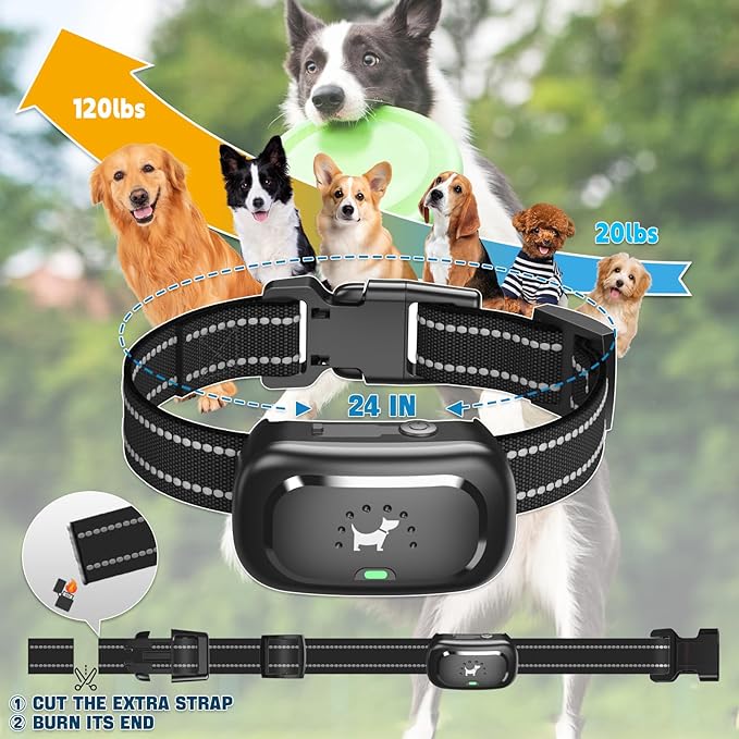 Dog Shock Collar for 2 Dogs - [2025 Newly Upgraded] Dog Training Collars with Remote,Rechargeable E-Collar Waterproof Collars with Unique Shock-Lock Keypad for Large Medium Small Dogs All Breeds