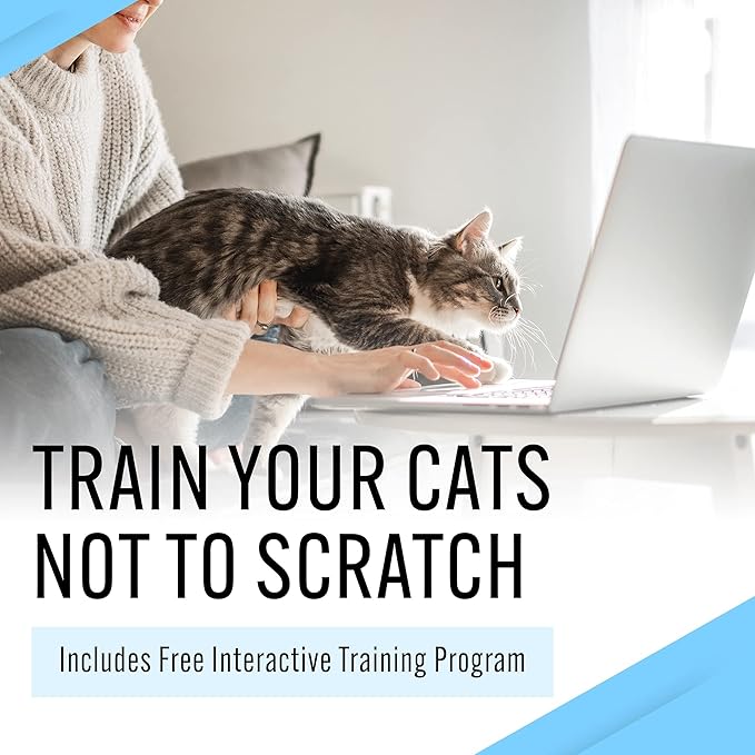 EBPP Stop The Scratch Cat Spray Deterrent for Kittens and Cats - Non-Toxic, Safe for Plants, Furniture, Floors and More Cat Deterrent Spray with Rosemary Oil