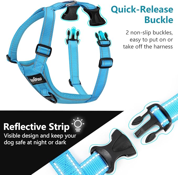 Dog Seat Belt Harness for Car, Dog Car Harness Adjustable Mesh Breathable & Dogs Seatbelt Safety Tether with Elastic Bungee for Small Medium Large Pets(Blue, L)