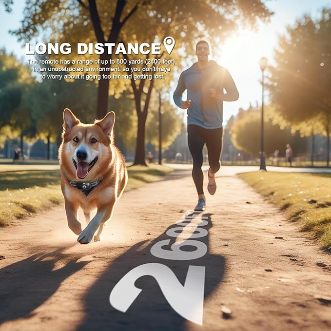 Dog Shock Collar, Dog Training Collar with Remote for Small Medium Large Dogs, Electronic Dog Collar Rechargeable with Shock Mode, 3 Safe Training Modes, Range up to 2600ft （Black）