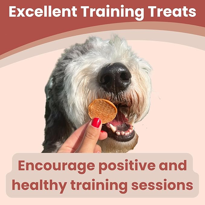 Farm To Pet Dog Training Treats, Healthy Turkey Chips for Dogs - 4 oz, 100% Human Grade Turkey Breast, All Natural, Single Ingredient, Low Allergen Treats for Dogs and Puppies, Made in USA