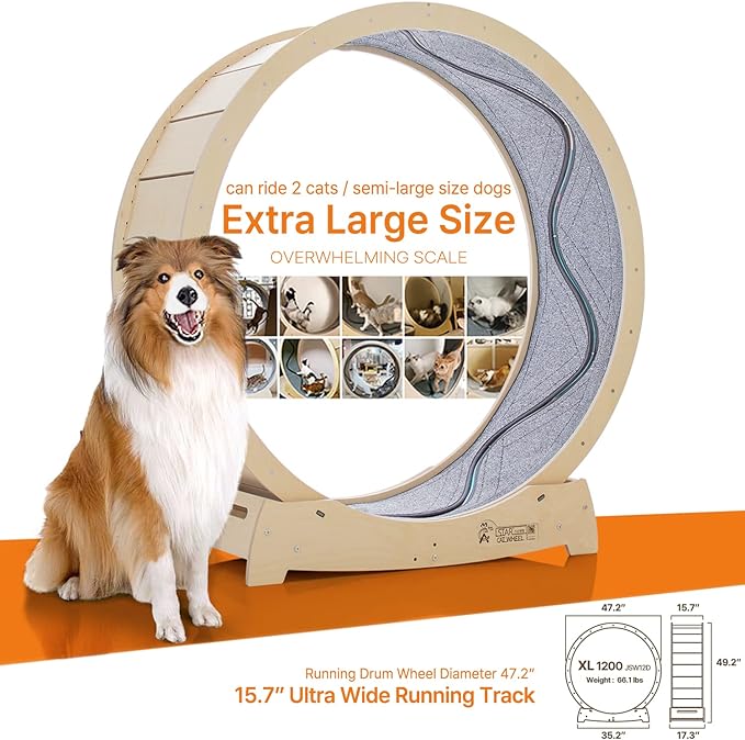 Star Cat Wheel, Cat Treadmill, Exercise Wheel for Running, Spinning, Scratching, and Climbing for Indoor Cats, Premium Birch Wood, Eco-Friendly, Moving Fish, Wide Running Track, 47.2 inch XL Size