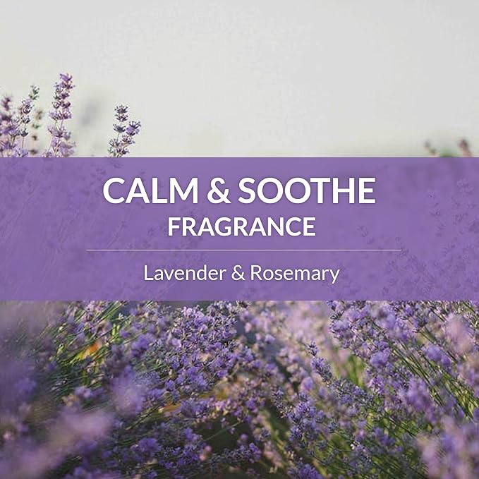 Skout's Honor Probiotic Dog Shampoo & Conditioner with Avocado Oil & Omega-3s, 97% Natural, Paraben & Sulfate-Free, Cruelty-Free, 16oz, Lavender, 2-Pack