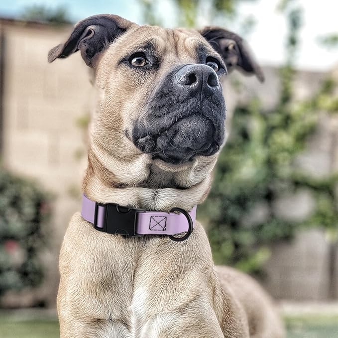 Dogline Biothane Waterproof Dog Collar with Quick Release Buckle Strong Coated Nylon Webbing with Odor- Proof for Easy Care Easy to Clean Fits Small Medium Large Dogs, Lavender 5/8" W 9-14" L