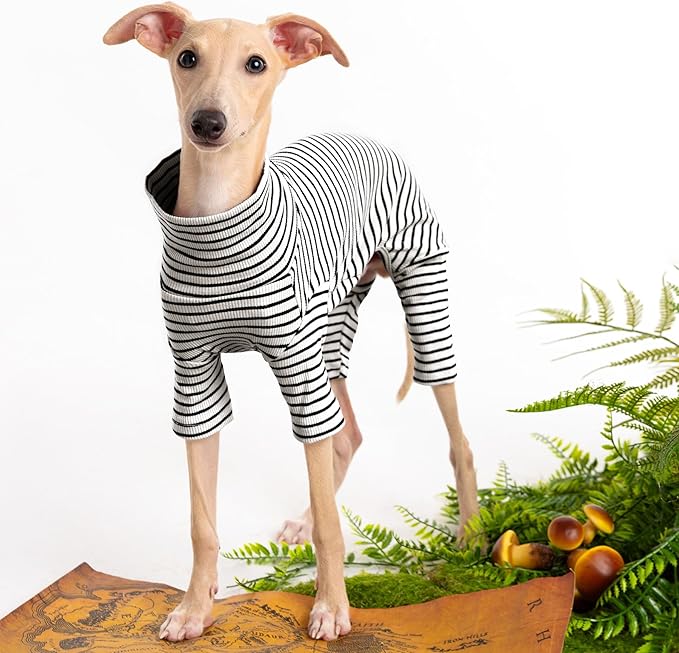 Dog Sweaters for Small Dogs Girls Boys, Striped Pet Sweaters for Fall Winter Dog Clothes, Turtleneck Pullover Knitwear for Small Medium Large Dogs