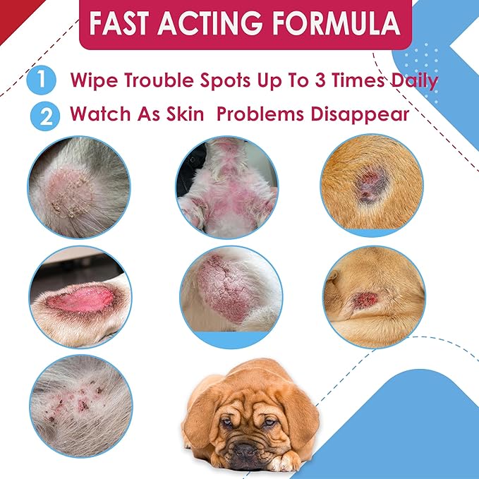 Chlorhexidianes Wipes for Dogs, Cats and Horses (Made in U.S.A) (USA) (Ketoconazole & Chlorhexidine Wipes, 50 Count)