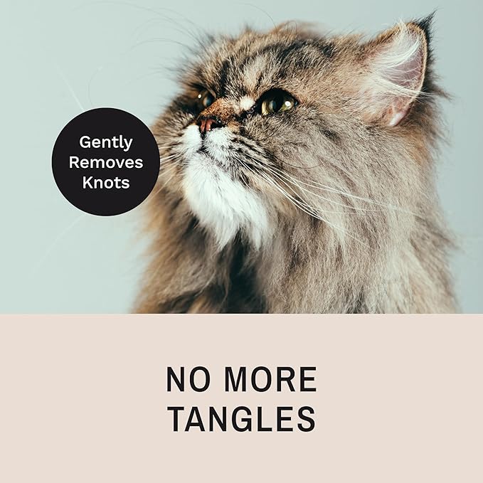 Eye Envy Tear Stain Remover Comb for Dogs and Cats. Fine/Coarse with 80 Rounded Pins. Gently Remove Crusty Eye Debris, Gunk and Boogers. Face and Feet Comb. Remove Tangles
