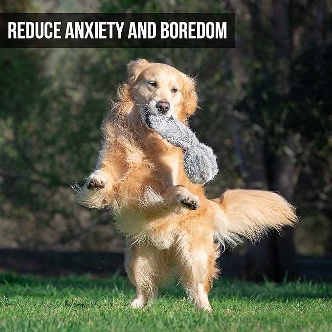 Hyper Pet Doggie Tail & Unicorn Pal Interactive Plush Dog Toys - 2 Pack Value Pack (Interactive Toy That Wiggles, Vibrates & Barks Dog Toys for Boredom & Stimulating Play) Colors May Vary