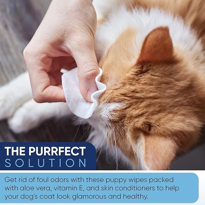 MAGICARE Pet Wipes – 100 pcs Dog Wipes – 8x8 Inch Unscented Dog Paw Cleaner Wipes for Body, Ears, Face, and Skin – Ultra Thick and Soft with Hypoallergenic Formula – Ideal Pet Wipes for Dogs & Cats