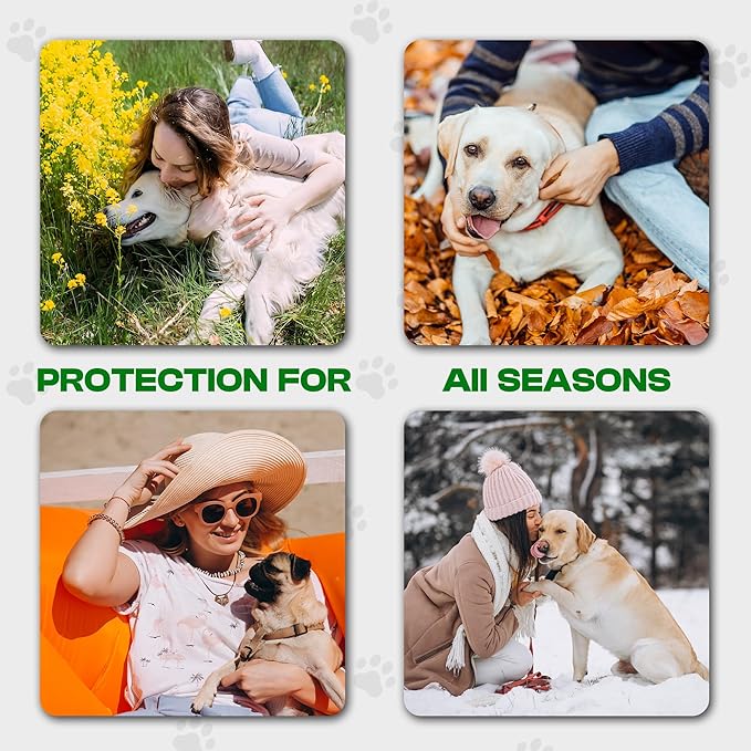 Puppy Essentials Kit Contains Dog Wipes for Paws and Butt, Nourishing Paw Balm, Teeth Cleaning Wipes & Poop Bags Set | Dog Camping Essentials and Travel Accessories