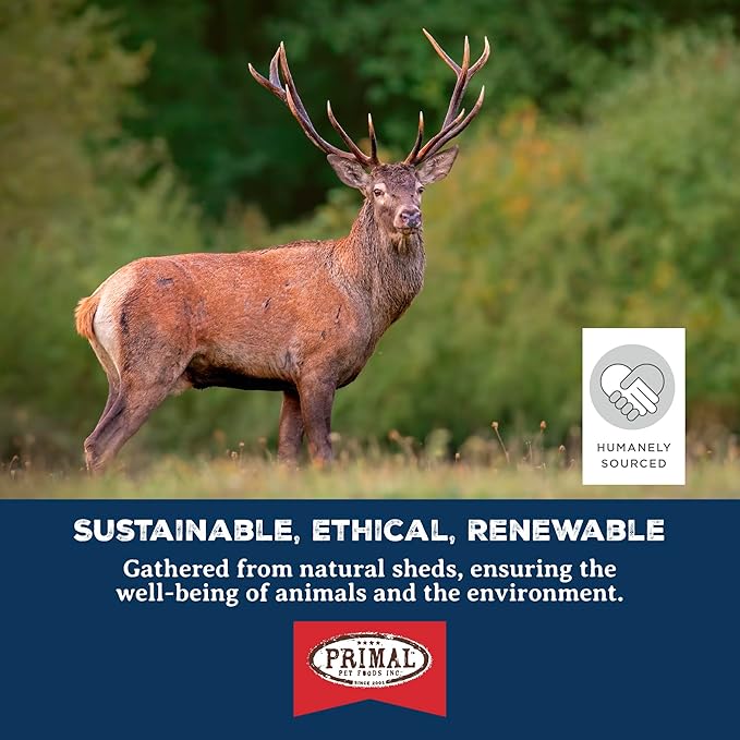 Primal Antlers for Dogs, Grade A Split Moose Antlers for Large Canines 45-60 lb, Natural Chews for Aggressive Chewers, Naturally Shed, Long Lasting Dog Bones, 1 ct