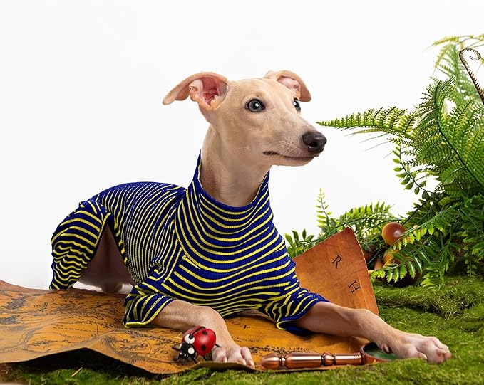 Dog Sweaters for Small Dogs Girls Boys, Striped Pet Sweaters for Fall Winter Dog Clothes, Turtleneck Pullover Knitwear for Small Medium Large Dogs