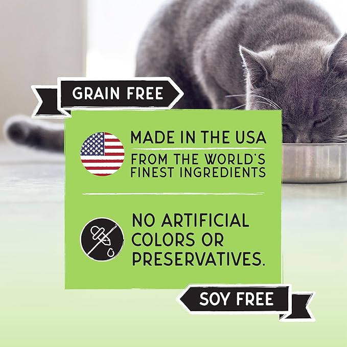 Blackwood Bounty Dry Cat Food, Whitefish & Lentil Recipe for All Life Stages, 2 Pound Bag, High Protein, Grain Free