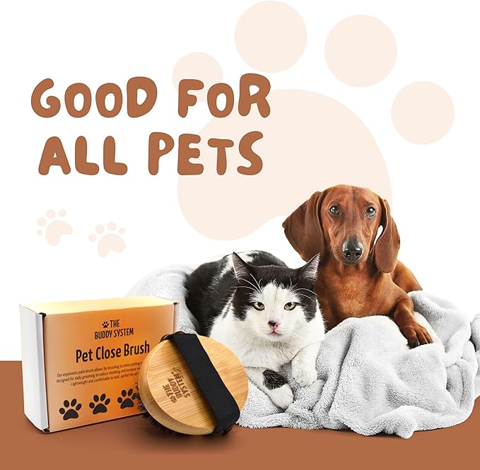 The Buddy System Pet Close Brush, Soft Touch Oval Palm Brush - Bamboo Massage Handheld with Soft Boar Bristles and Elastic Band for Dogs and Cats 2 Pack