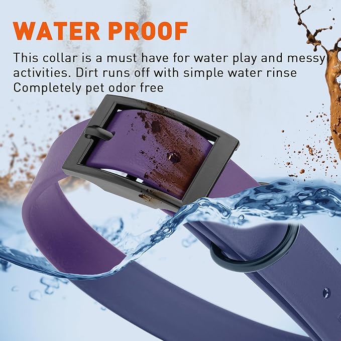 Dogline Biothane Waterproof Dog Collar Strong Coated Nylon Webbing with Black Hardware Odor- Proof for Easy Care Easy to Clean High Performance Fits Small Medium or Large Dogs, Violet Purple