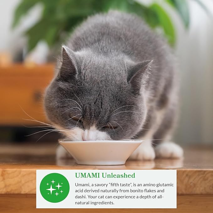 INABA Dashi Delights for Cats, 2.5 Ounce Cup, 6 Cups Total, Chicken with Tuna Recipe