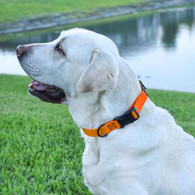Dogline Biothane Waterproof Dog Collar with Quick Release Buckle Strong Coated Nylon Webbing with Odor- Proof for Easy Care Easy to Clean Fits Small Medium Large Dogs, Tangerine Orange 1" W 15-23" L