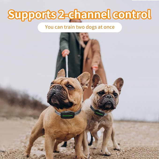 Dog Training Shock Collar 4000FT Dog Bark Collar with Remote IP67 Waterproof 4 Training Modes Beep Vibration Shock Light Mode Magnetic Charger Electric Dogs Collar 8-25 inches Double Shock Iron Black