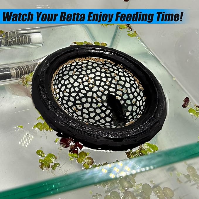 Aquarium Floating Betta Fish Skins, Betta or Shrimp Feeder, Cave and Hammock, Small Fish Feeding Rings, Aquarium Hiding Feeding Decorative Accessories (Cyan)