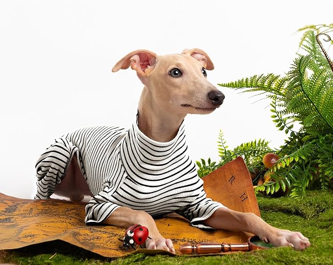 Dog Sweaters for Small Dogs Girls Boys, Striped Pet Sweaters for Fall Winter Dog Clothes, Turtleneck Pullover Knitwear for Small Medium Large Dogs