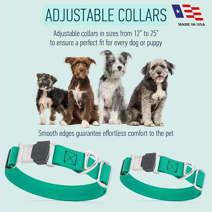 Dogline Biothane Waterproof Dog Collar with Herm Sprenger Stainless Steel Quick Release Buckle – Heavy Duty Tactical Durable Collar for Dogs – Comfortable and Safe Pet Collar, W 1" L 15-25", Teal