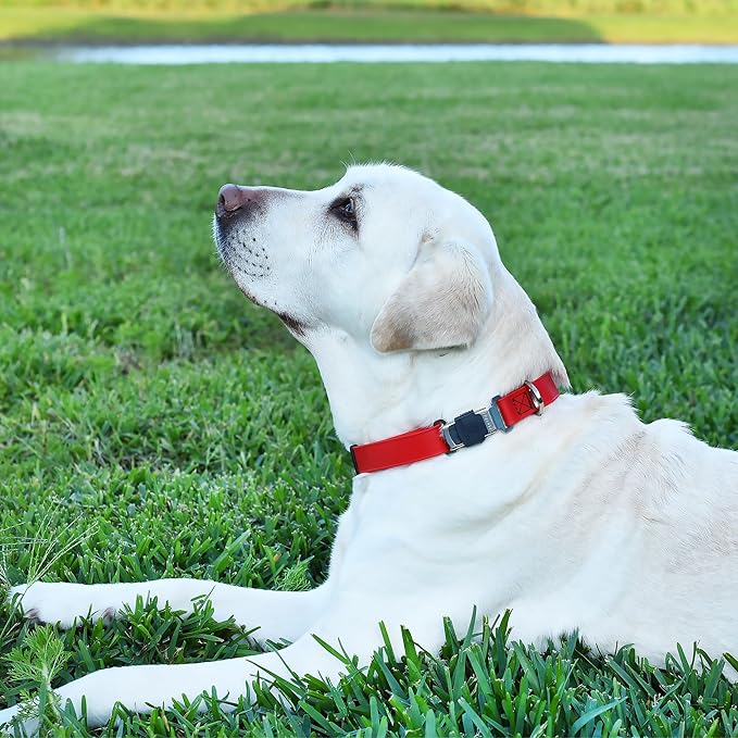 Dogline Biothane Waterproof Dog Collar with Herm Sprenger Stainless Steel Quick Release Buckle – Heavy Duty Tactical Durable Collar for Dogs – Comfortable and Safe Pet Collar, W 1" L 15-25", Red