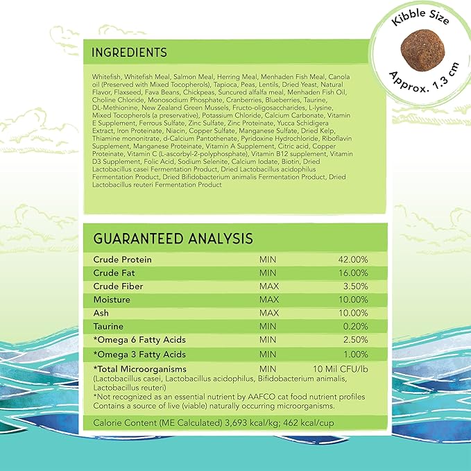 Blackwood Bounty Dry Cat Food, Whitefish & Lentil Recipe for All Life Stages, 2 Pound Bag, High Protein, Grain Free