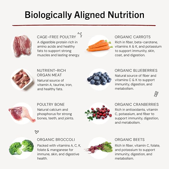 Stella & Chewy's Freeze-Dried Raw Dinner Patties - Duck Duck Goose Recipe - High Protein Grain-Free Puppy & Dog Food - Perfect For Picky Eaters - 25 oz