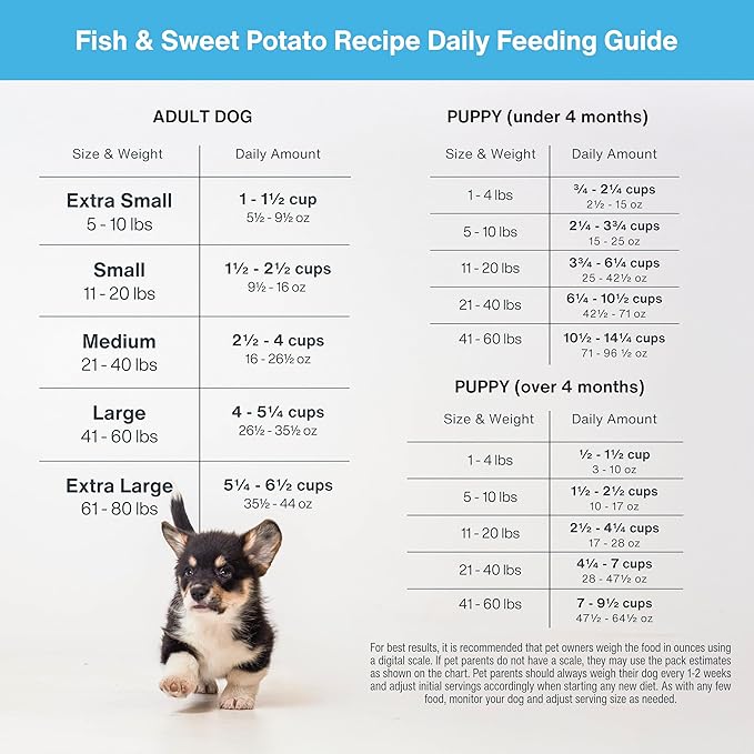 JustFoodForDogs DIY Nutrient Blend for Homemade Dog Food, Fish & Sweet Potato Recipe, 5.92oz