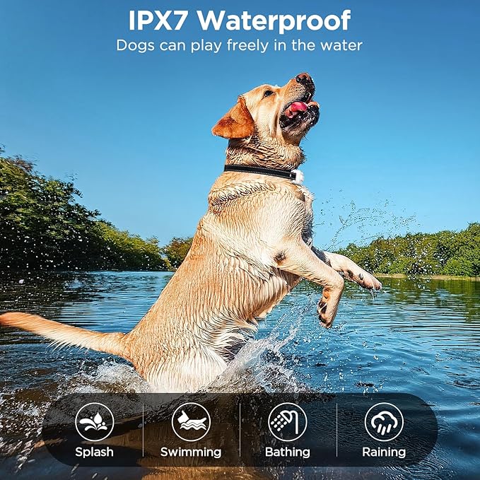 Dog Shock Collar 2 Dogs, 3300ft Dog Training Collar with Remote, IPX7 Waterproof Rechargeable Sleek Modern for All Dogs with Beep, Vibration, Safety Shock, Light Mode, 8-120 lbs NF