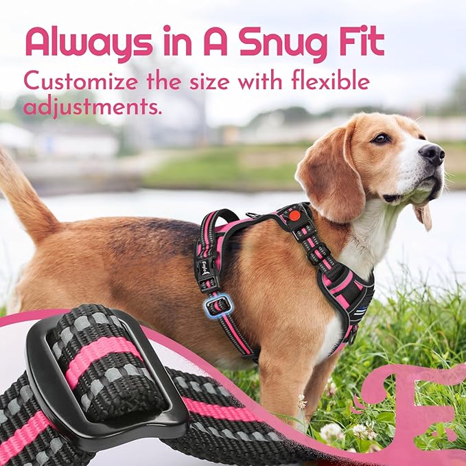 Eagloo Dog Harness Small Sized, Easy Wearing with 3 Buckles, Adjustable No Pull Pet Harness with 2 Rings for Walking, No Chock Reflective Soft Padded Vest with Control Handle, Pink & Black, S