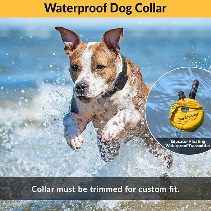 Educator E-Collar Humane Dog Training Collar with Remote, Features 100 Levels of Safe Stimulation, Tapping Sensation, Night Light, Waterproof, Rechargeable, 3/4 Mile 1 Dog, Yellow