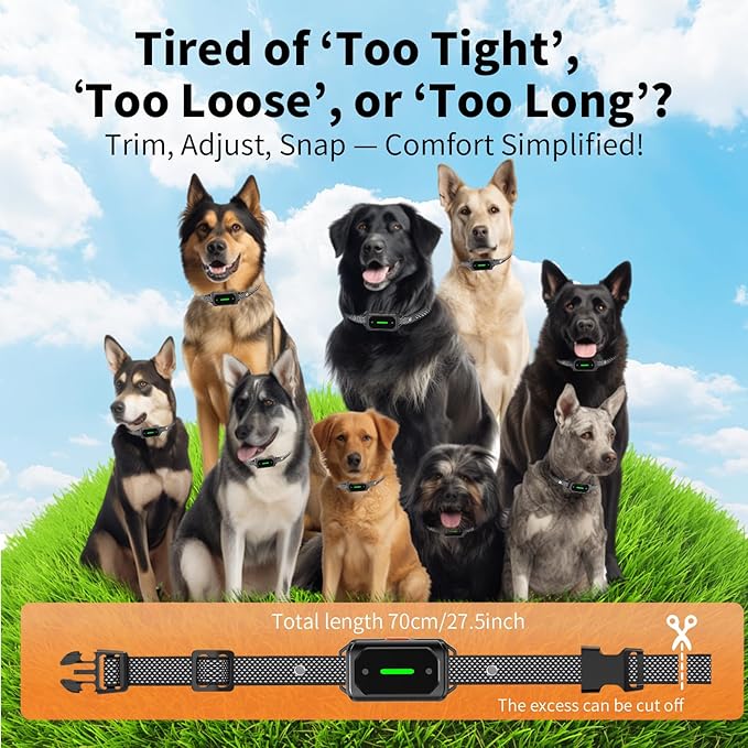 Dog Shock Collar with Remote Control – 3300FT Range E-Collar with Beep, Vibration, Shock Modes – IPX7 Waterproof, Adjustable Strap, Safe Lock, Rechargeable Training Collars for Small Medium Large Dogs