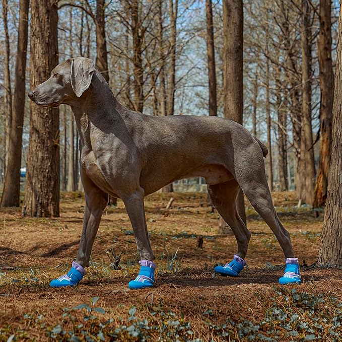 Dog Shoes, Waterproof Dog Boots & Paw Protectors with Anti-Slip Sole, 4pcs/Set Pet Dog Booties, Reflective Dog Shoes for Small Medium Large, Winter Snowy Summer Hot Pavement (Blue, 5# (M))