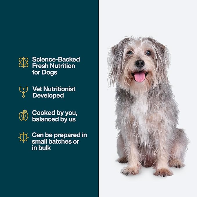 JustFoodForDogs DIY Nutrient Blend for Homemade Dog Food, Fish & Sweet Potato Recipe, 5.92oz