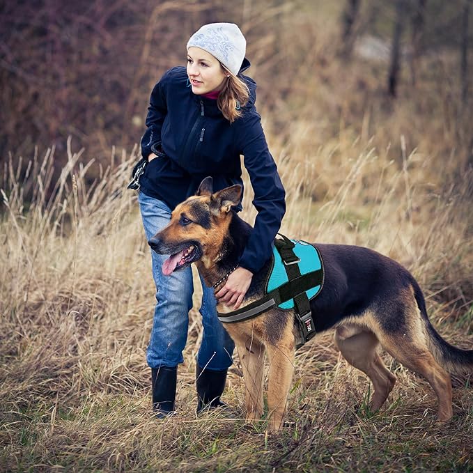 Dogline Dog Harness, Reflective No-Pull Adjustable Vest with Handle for Walking, Training, Breathable, No - Choke Harness for Small, Medium or Large Dogs Room for Patches Girth 33"-46" in Turquoise