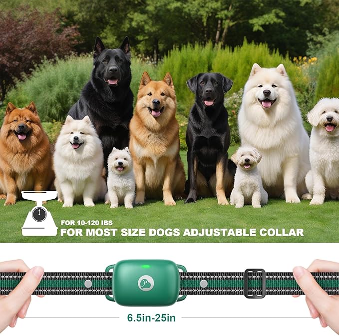 Dog Shock Collar Featuring A Touch Screen, E-Collar with Security Lock and 3 Training Modes, Rechargeable, Waterproof Dog Training Collar for Large Medium Small Dogs, for All Breeds, Size