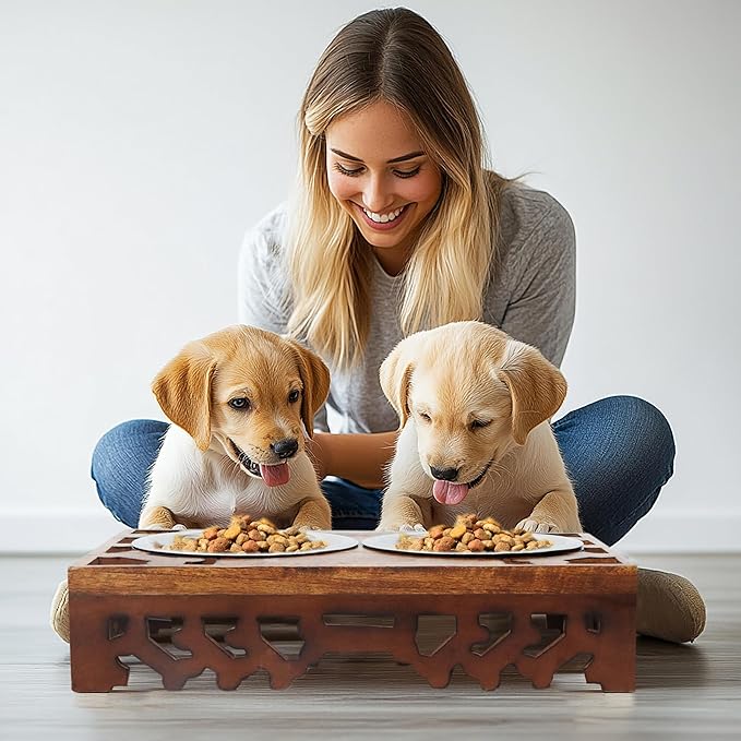 Elevated Pet Feeder for Dogs and Cats - Hand Carved Wood Bones Raised Dog Bowl Stand - Pet Feeding Stand with Two Steel Bowls - Raised Dog Bowl for Food Water - Pet Feeding Station -17x11x4- IRONGATE
