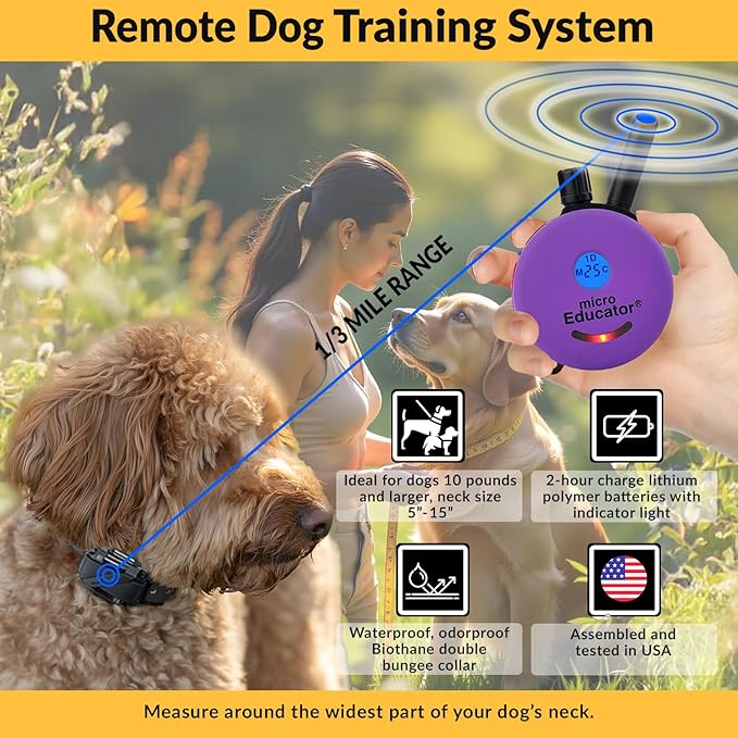 Educator E-Collar Humane Dog Training Collar with Remote, 100 Safe Tapping Stimulation Levels, Night Light, Waterproof, Rechargeable, 1/3 Mile 2 Small Dogs Double Bungee Collar Bundle, Purple