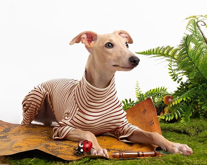 Dog Sweaters for Small Dogs Girls Boys, Striped Pet Sweaters for Fall Winter Dog Clothes, Turtleneck Pullover Knitwear for Small Medium Large Dogs