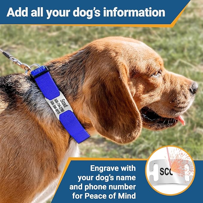 GoTags Personalized Dog Collar with Nameplate, Adjustable Dog Collar with Custom Engraved Slide On Pet ID Tag in Stainless Steel, Silent, No Noise Dog Tag (Charcoal, Small)