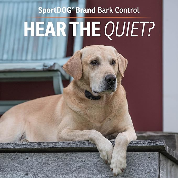 SportDOG Brand NoBark SBC-8 Bark Control Collar - Static Collar with Progressive Correction - Waterproof - Static Stimulation - Dogs 8 lbs & up