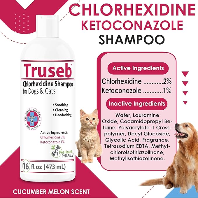 Truseb Topical Ketoconazole and Chlorhexidine Shampoo for Dogs, Cats & Horses with Aloe Vera and Conditioner(USA) (Ketoconazole & Chlorhexidine Shampoo, 16 oz)