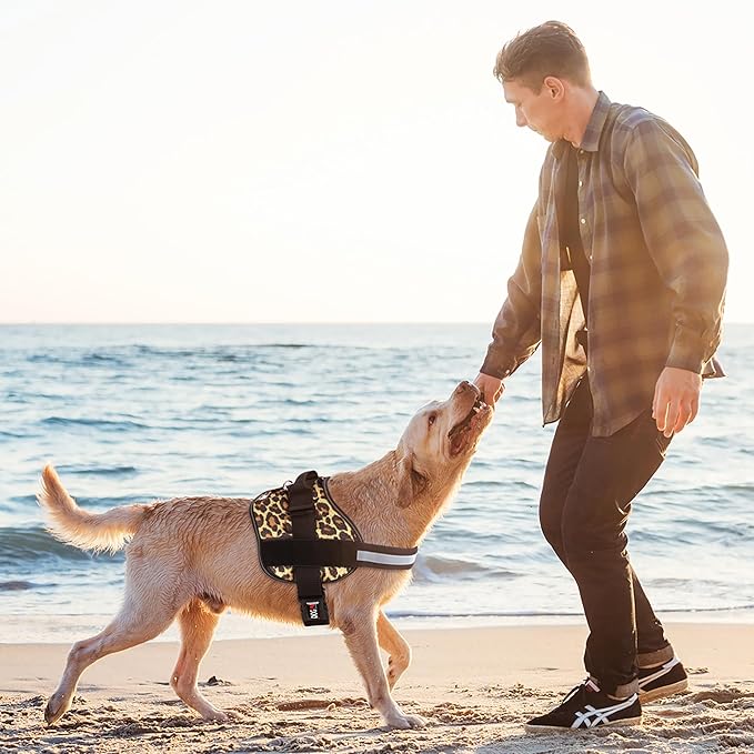 Dogline Dog Harness, Reflective No-Pull Adjustable Vest with Handle for Walking, Training, Breathable, No - Choke Harness for Small, Medium or Large Dogs Room for Patches Leopard Brown L 27"-34"