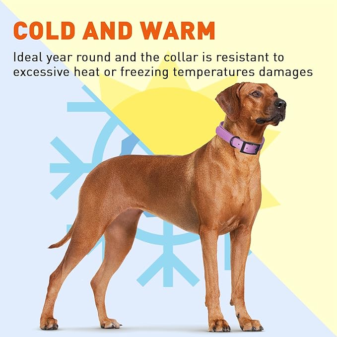 Dogline Biothane Waterproof Dog Collar Strong Coated Nylon Webbing with Black Hardware Odor- Proof for Easy Care Easy to Clean High Performance Fits Small Medium or Large Dogs, Amethyst Purple