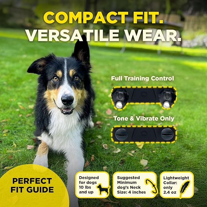 Dogtra 200iQ Remote Training E Collar – 100 Levels, Tone, Vibration, 1/2 Mile Range – Compact, Waterproof, One-Handed Control for Dogs 10 lbs+ – Lightweight Design for Daily Training – Flower Power