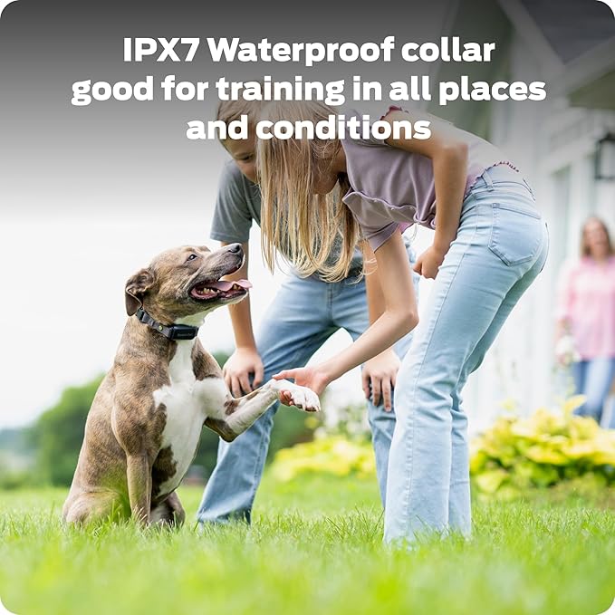 Dog Static Collar - 1000ft Dog Training Collar 2-Dog Bundle with Remote Dogs - Rechargeable Waterproof with 3 Training Modes - Tone Vibration & 16 Levels of Safe Static